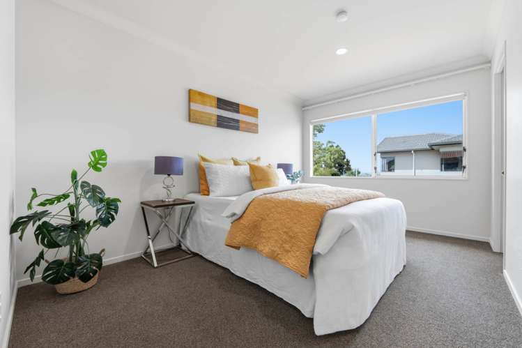 239 Campbell Road Greenlane_8