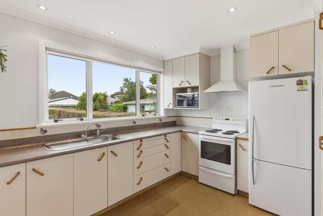 9 Chester Street Levin_2