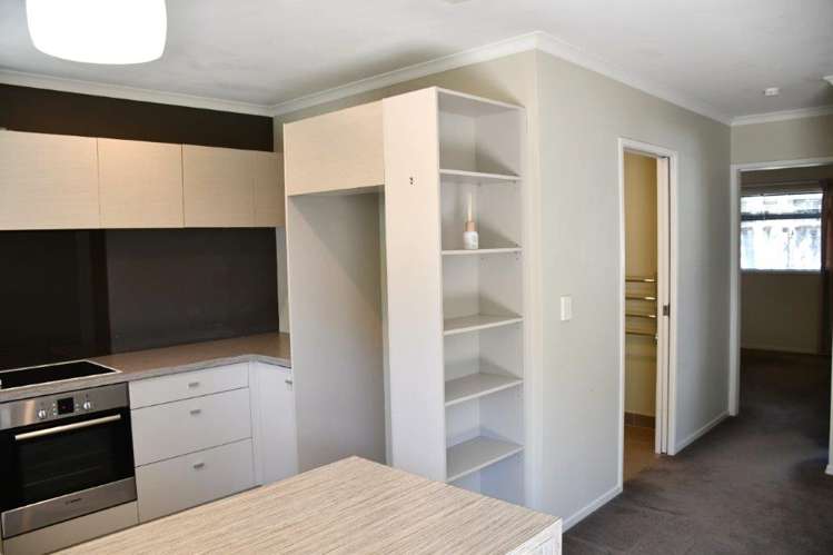 23b Maitland Street Frankton_6