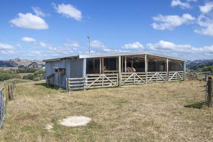 993 Whirinaki Valley Road Ngakuru_38