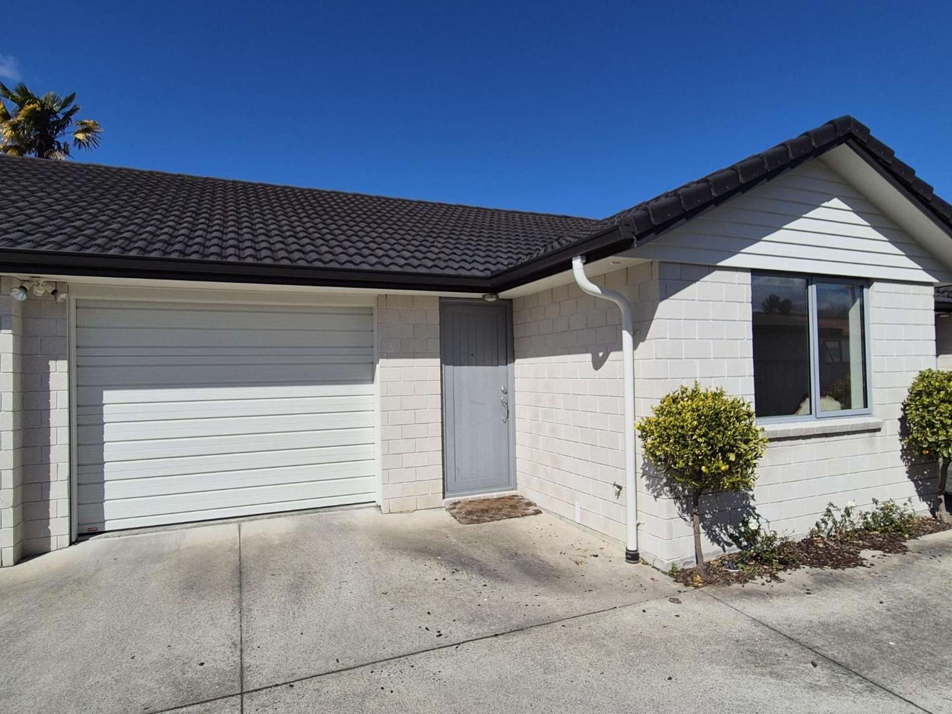 2/105 Nixon Street 1074_0