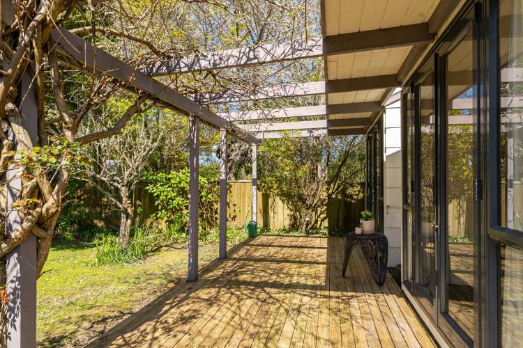 36 Kuratawhiti Street Greytown_12