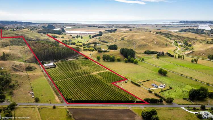 698 Puketitiri Road Puketapu_1