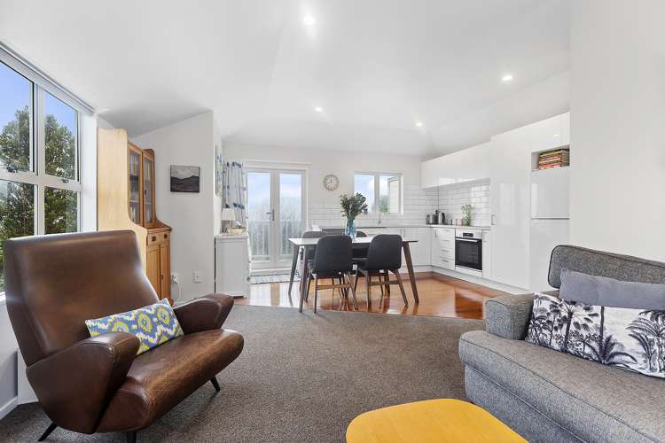 6/25 Mana Street Vogeltown_2