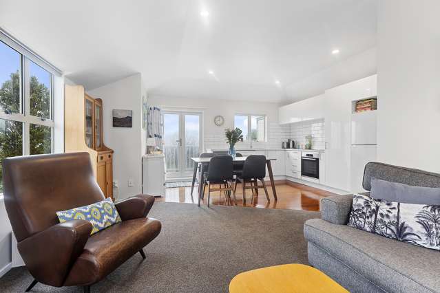 6/25 Mana Street Vogeltown_2