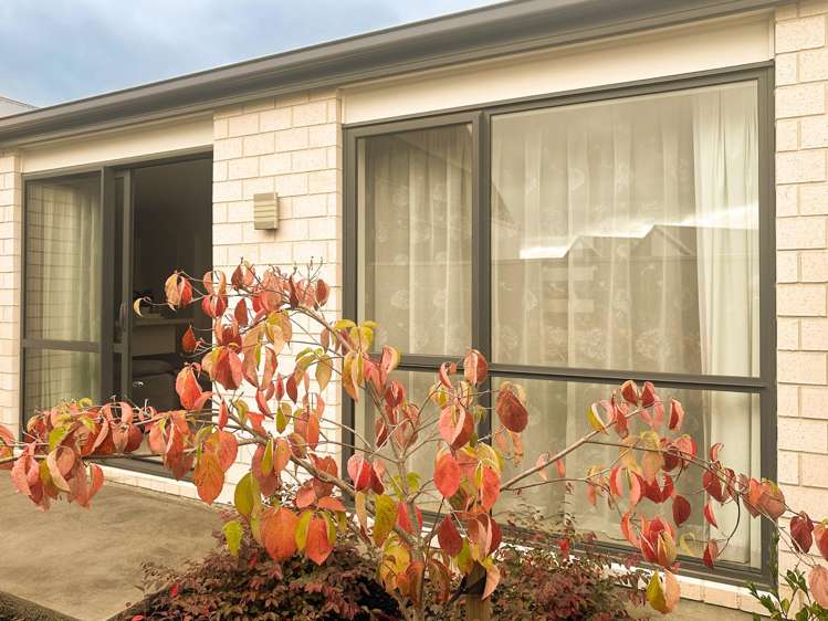 2 Becks Street Kaiapoi_9