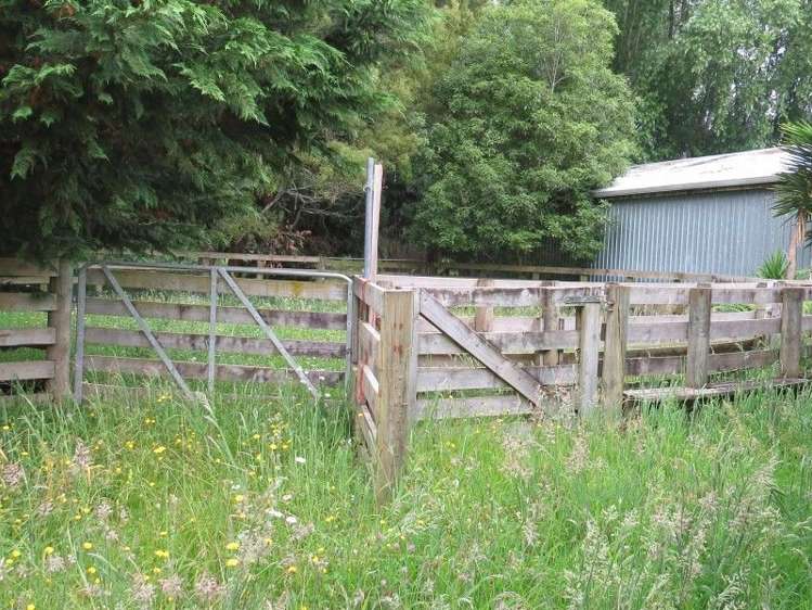 111 Tarr Road Ohaupo_24