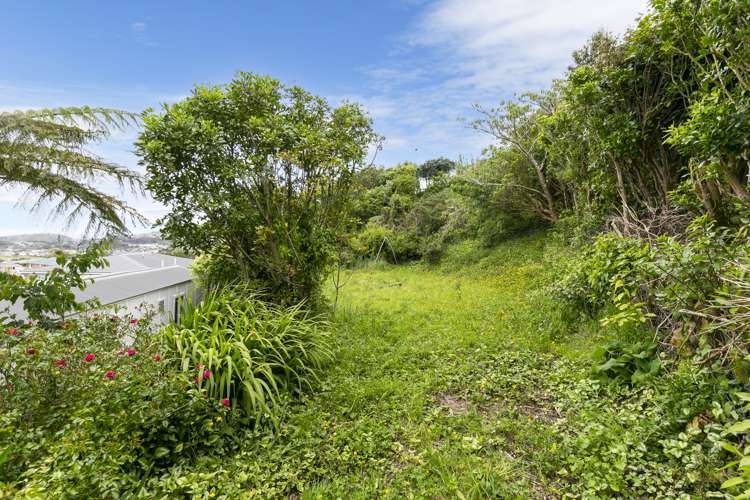 10 Branscombe Street Johnsonville_10