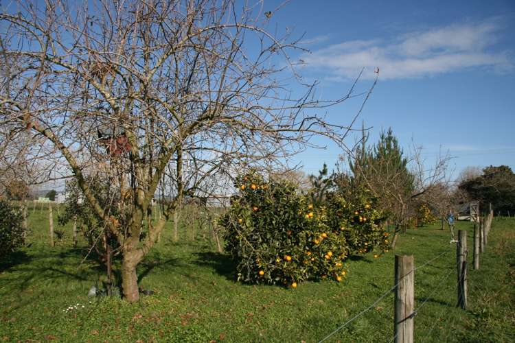 8 Dalziel Road Waerenga_18