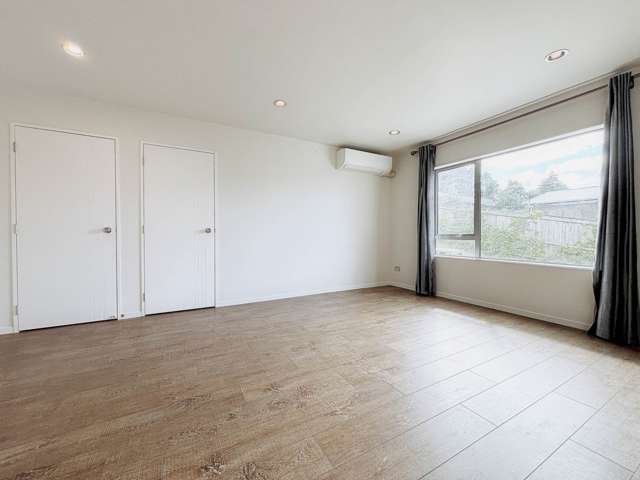 162A Ti Rakau Drive Pakuranga_1