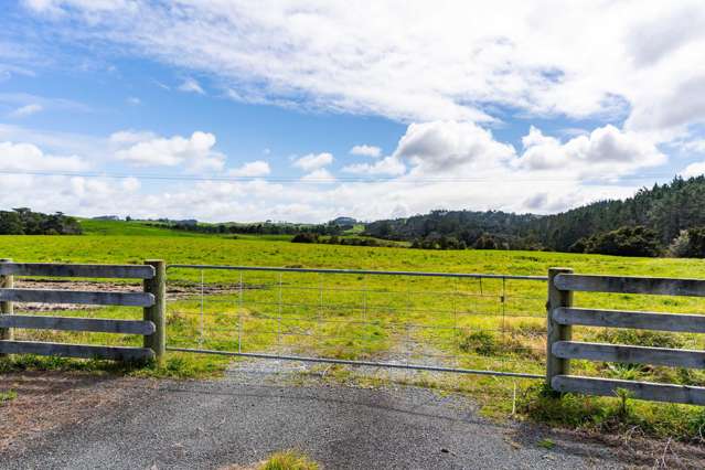 Lot 1 State Highway 12 Dargaville_3