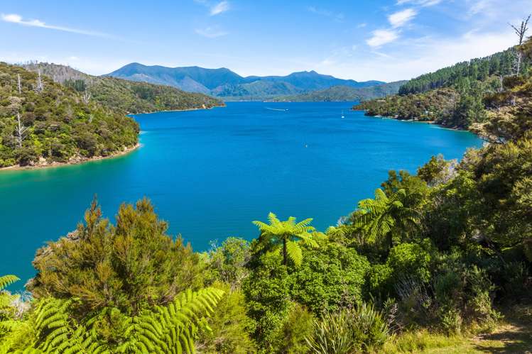 Lot 4 West Bay, Lochmara Marlborough Sounds_12