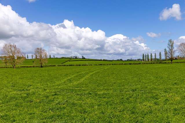 88 Davies Road Taupiri_2