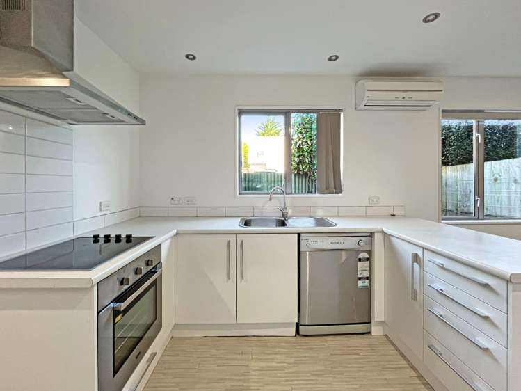 17 Antrim Street Sydenham_2