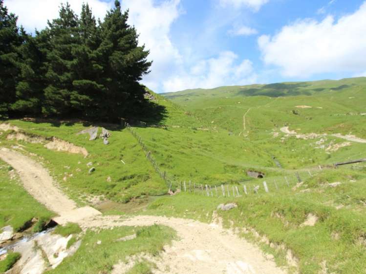 934 Coonoor Road Pahiatua_14