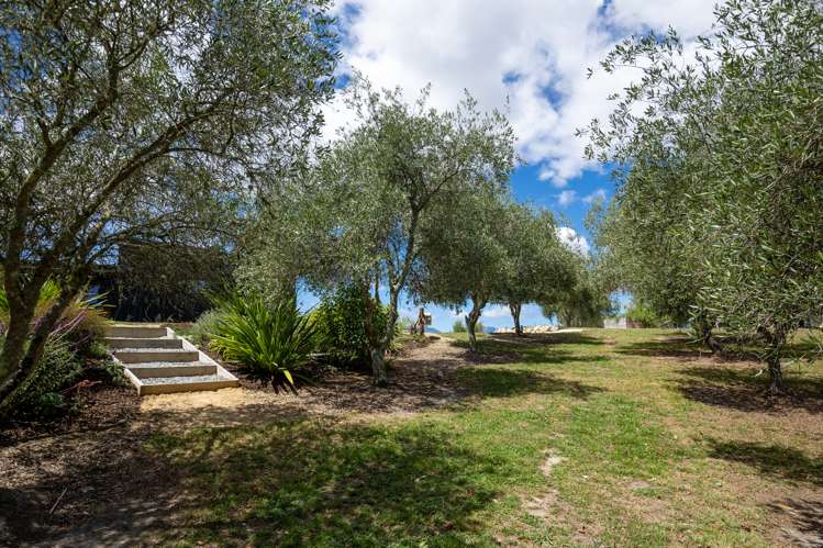 129c Ridgeview Road Redwood Valley_17