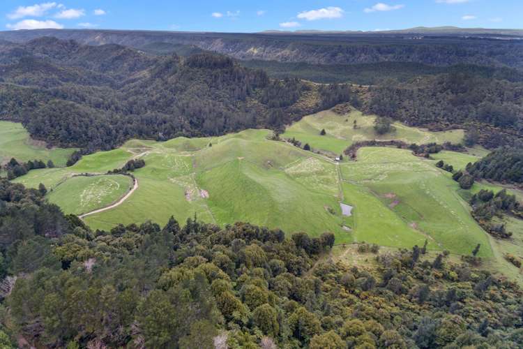 1420 State Highway 5 Tapapa_16