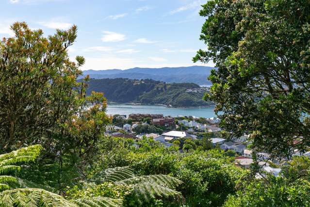 39 Marewa Road Hataitai_3