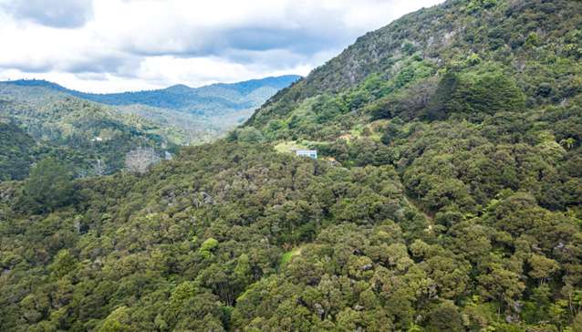 No bills, no grind, no debt: Off-grid homes in NZ’s hidden beauty spots