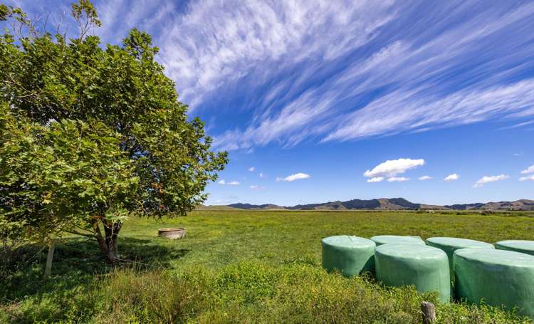 331 Kneebone Road Orini_34