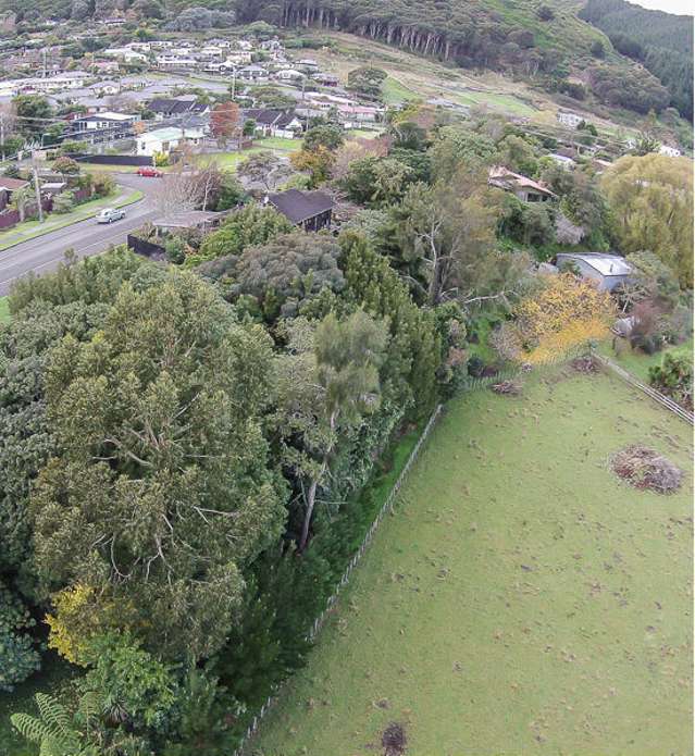 36 Elizabeth Street Waikanae_4