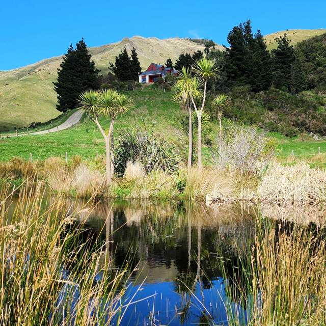 503 Parkville Road Eketahuna_2