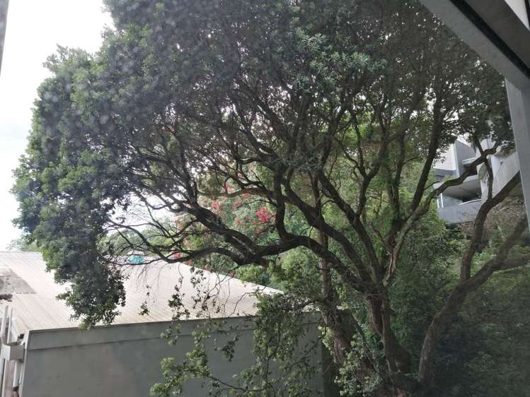 133 Beach Road Auckland Central_18