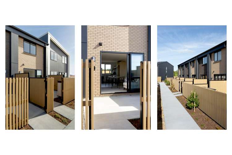 5 Te Ara Tanekaha Omokoroa_23