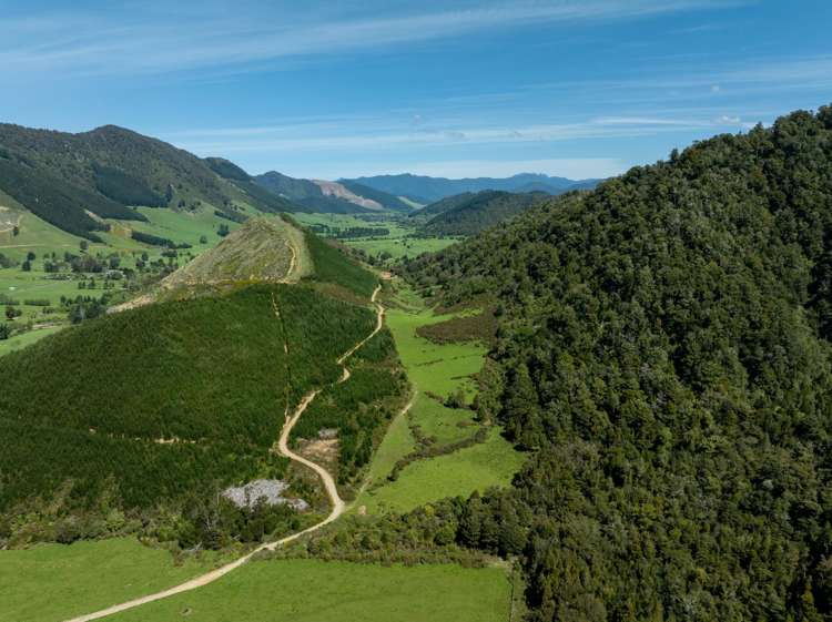 537 Ronga Road Rai Valley_9