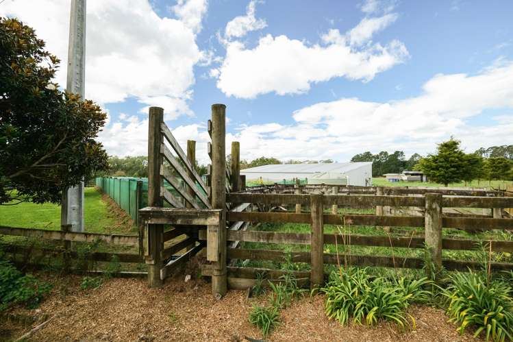 120 Walford Road Aongatete_34