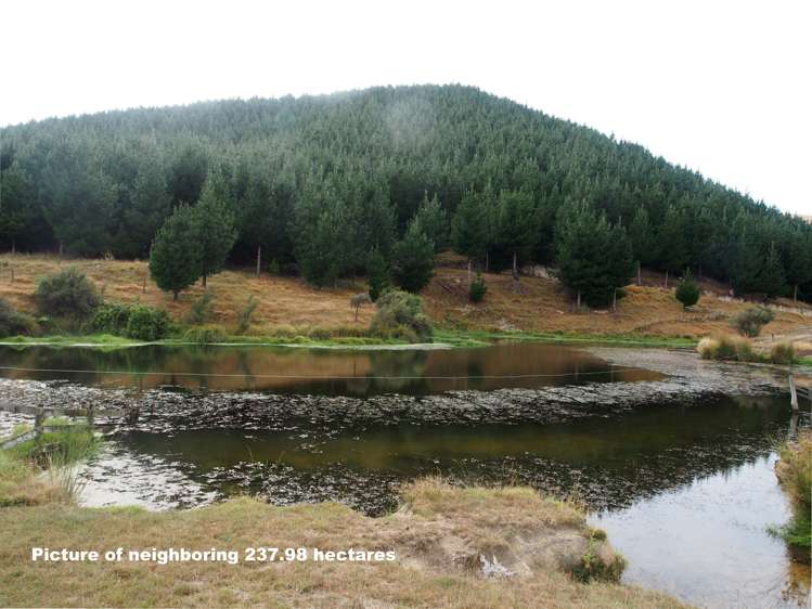 746 Te Awa Road Central Hawkes Bay Coastal_19