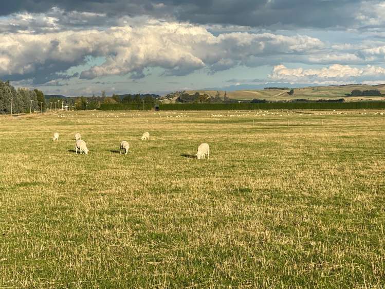 214 Gap East Winton Surrounds_16