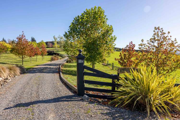 253b Reserve Road Balcairn_30