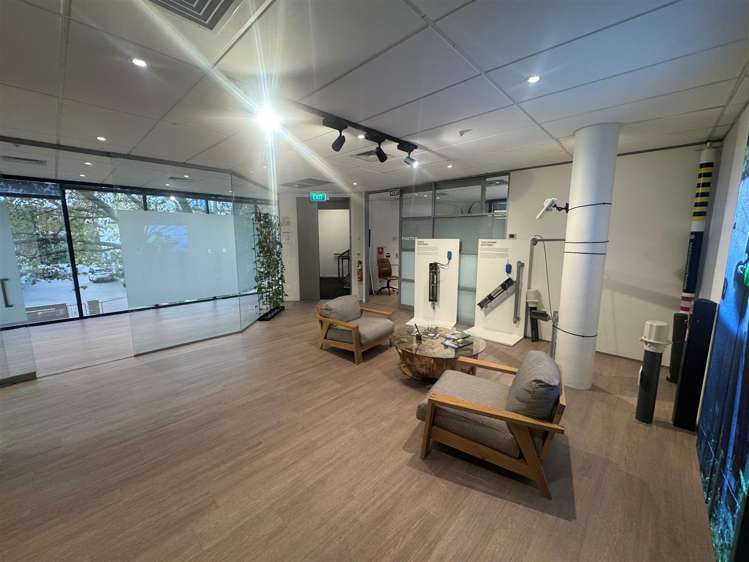 5 Wilkins Street Freemans Bay_6