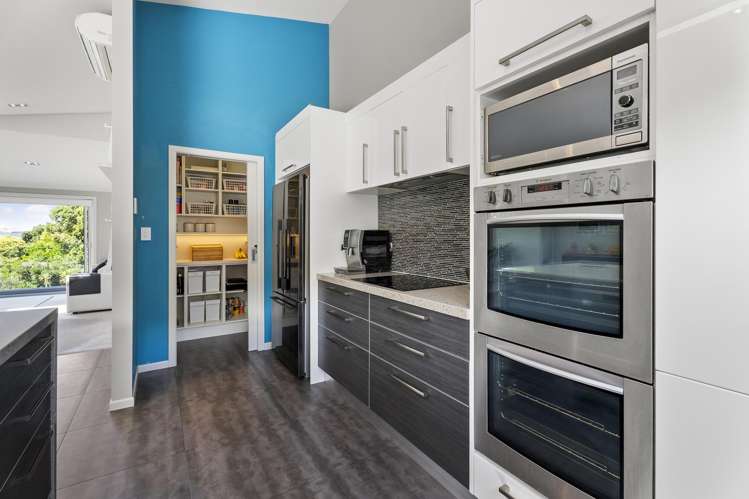 48a Belfast Street Hillsborough_6