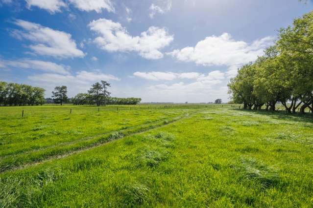 1331 Rongotea Road Kairanga_1