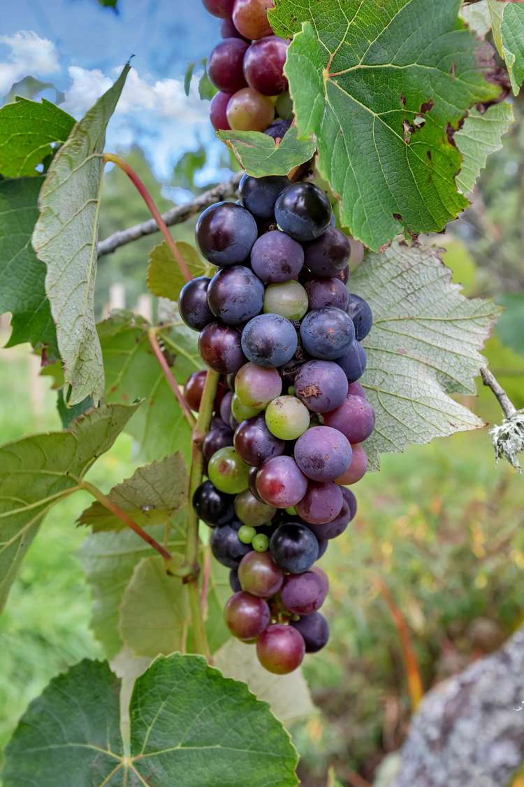 37 Valley View Road Otaika_16