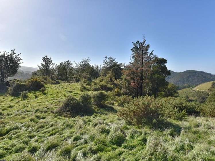 446 Glentui Bush Road Glentui_6