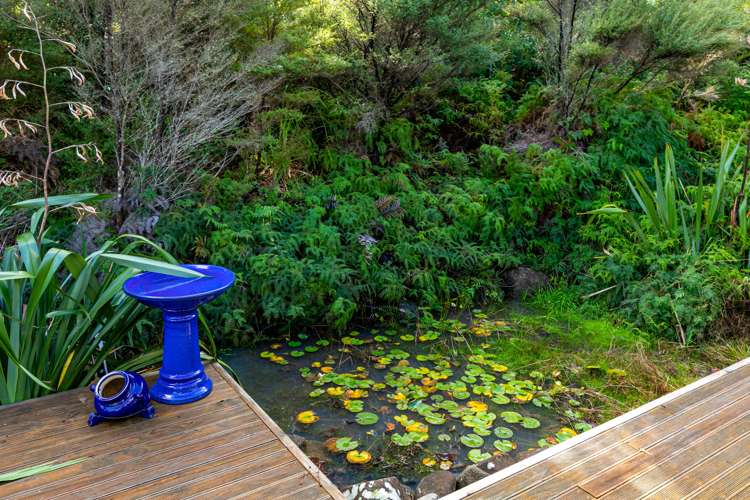 487 Kanohi Road Kaukapakapa_10