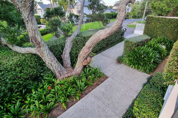 6 Morrison Avenue Devonport_25