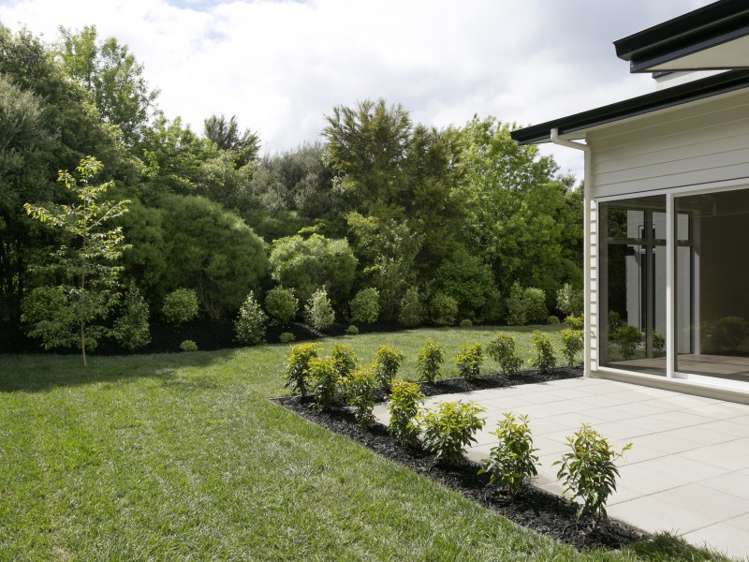 20 The Pheasant Tail Nukuhau_12