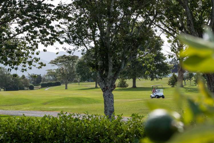 10 Prestwick Lane, RD 2 Katikati_18