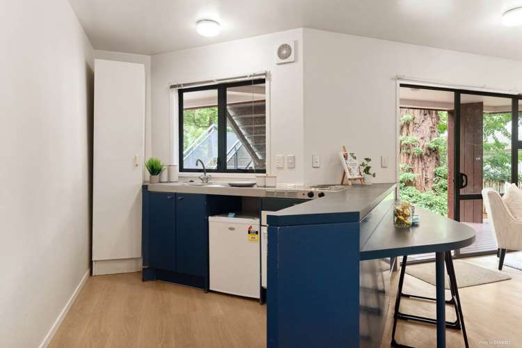 3/5 The Avenue Albany_7