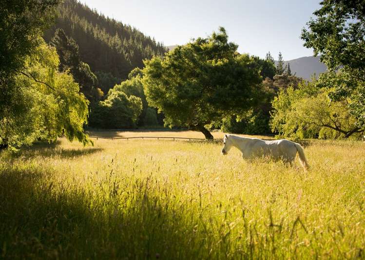 217 Harvey Road Marahau_21