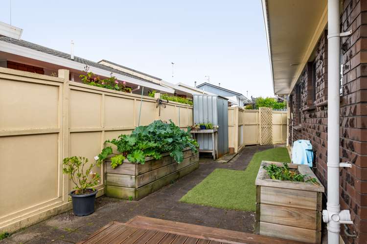 56b Anglesea Street Hamilton Central_8