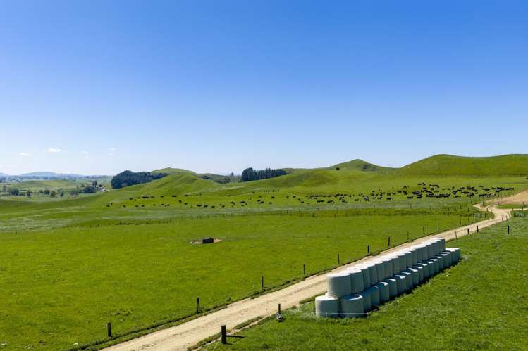 78 Smith Road Otorohanga Surrounds_6