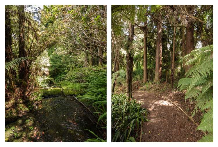 60 Victoria Street Waikino_57