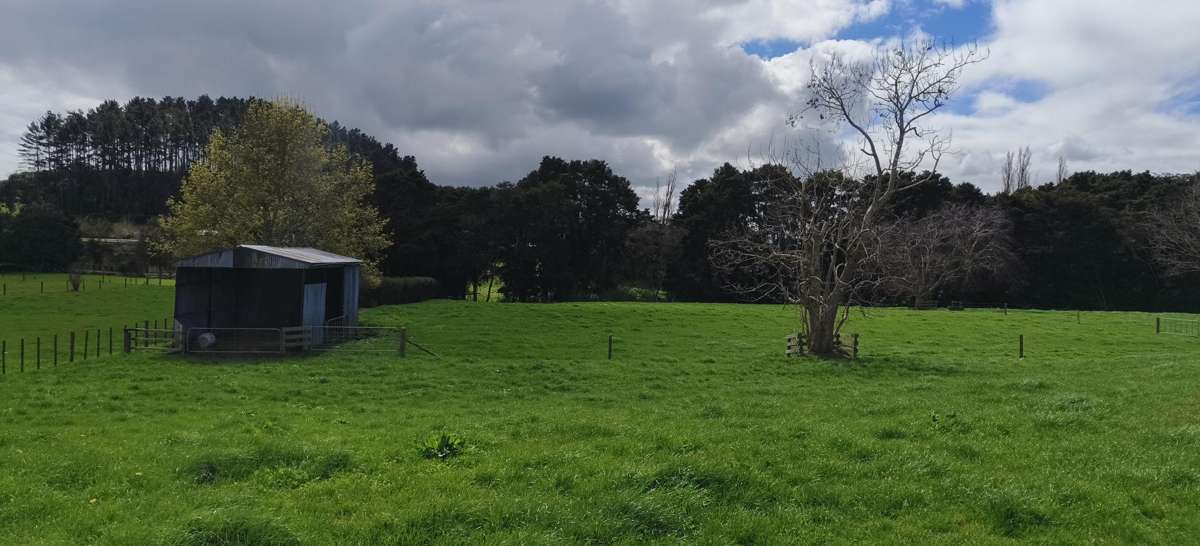 Lot 5/441 Kuranui Road_5