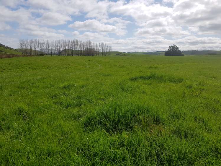 173 Soper Road Clinton and Surrounds_6