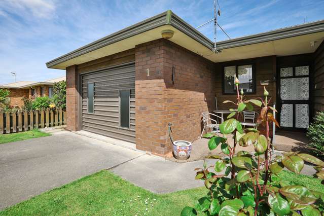 1 Munro Street Waikiwi_2